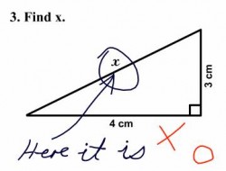 find-x